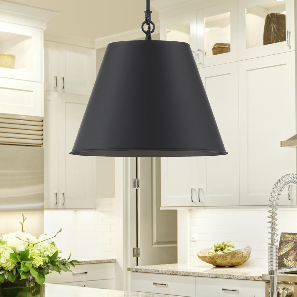 Alden 1-Light Pendant in Matte Black