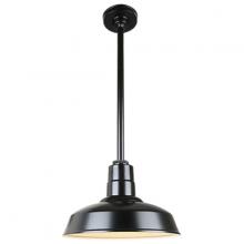  H-QSN15116-SA-91/QSN24ST3-91/QSNHSC-91 - 16" Ceiling Stem Light