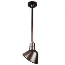  H-QSN18110-SA-145/QSN24ST3-145/QSNHSC-145 - 10" Ceiling Stem Light