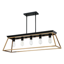  204596A - 5x100W Mulit Light Pendant With Brushed Gold and Matte Black Finish