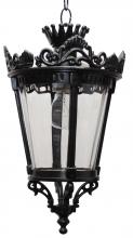  TC4331 - Tuscany Collection TC4300 Series Hanging Model TC4331 Small Outdoor Wall Lantern
