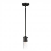  10362CDBK - Rexford-Mini Pendant