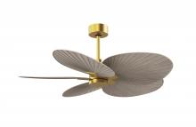  AKTP-BRBR-GA - Alessandra Tropical 5-blade ceiling fan in Brushed Brass and Gray Ash Tone blades.