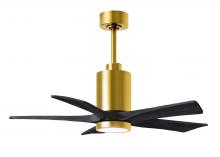  PA5-BRBR-BK-42 - Patricia-5 five-blade ceiling fan in Brushed Brass finish with 42” solid matte black wood blades