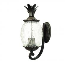  7511BC - Lanai Collection Wall-Mount 3-Light Outdoor Black Coral Light Fixture