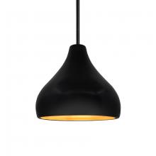 Justice Design Group CER-6560-CBGD-MBLK-RIGID - Small Droplet 1-Light Pendant