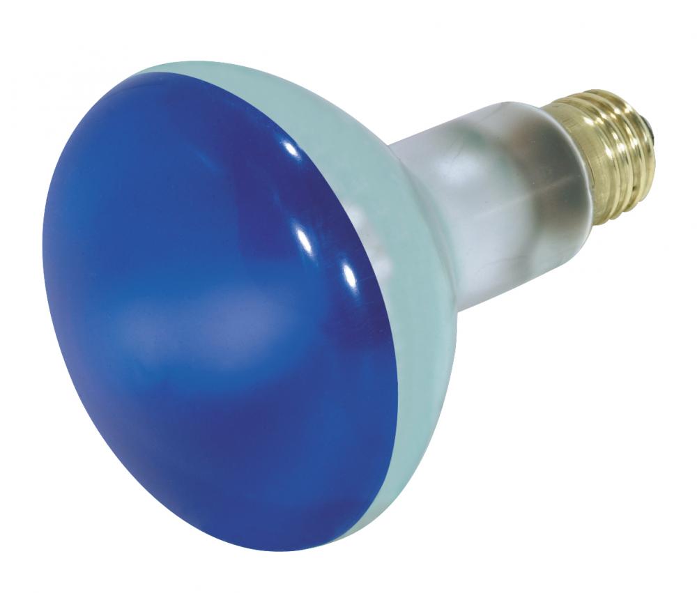 75 Watt BR30 Incandescent; Blue; 2000 Average rated hours; Medium base; 130 Volt