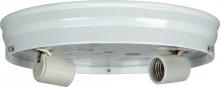  90/685 - 10" 2-Light Ceiling Pan; White Finish; Includes Hardware; 60W Max