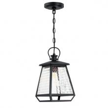  6112800 - Pendant Textured Black Finish Clear Waffle Glass