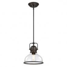  6132100 - Pendant Black-Bronze Finish Clear Seeded Glass