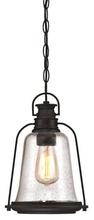  6339900 - Pendant Oil Rubbed Bronze Finish with Highlights Clear Seeded Glass