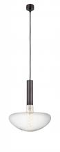  198-1P-OB-BB250LED - Edison - 1 Light - 10 inch - Oil Rubbed Bronze - Cord hung - Mini Pendant