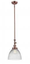  206-AC-G222 - Seneca Falls - 1 Light - 10 inch - Antique Copper - Stem Hung - Mini Pendant