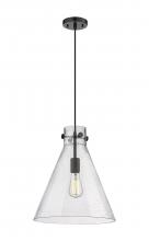  410-1PL-BK-G411-14SDY - Newton Cone - 1 Light - 14 inch - Matte Black - Cord hung - Pendant