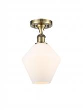  516-1C-AB-G651-8-LED - Cindyrella - 1 Light - 8 inch - Antique Brass - Semi-Flush Mount