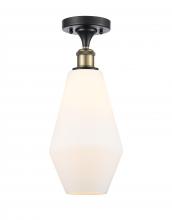  516-1C-BAB-G651-7-LED - Cindyrella - 1 Light - 7 inch - Black Antique Brass - Semi-Flush Mount