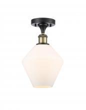  516-1C-BAB-G651-8-LED - Cindyrella - 1 Light - 8 inch - Black Antique Brass - Semi-Flush Mount