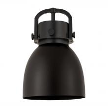  M412-8BK - Newton Bell 8 inch Shade