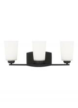  4428903EN3-112 - Franport transitional 3-light LED indoor dimmable bath vanity wall sconce in midnight black finish w