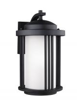  8747901EN3-12 - Crowell contemporary 1-light LED outdoor exterior medium wall lantern sconce in black finish with sa