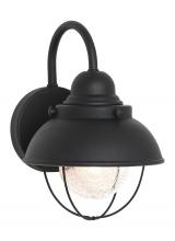  8870EN3-12 - Sebring transitional 1-light LED outdoor exterior small wall lantern sconce in black finish with cle