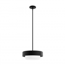  19271 - Hunter Station Natural Black Iron with Frosted Cased White Glass 2 Light Pendant Ceiling Light Fixtu