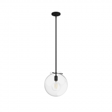  19660 - Hunter Sacha Natural Black Iron with Clear Glass 1 Light Pendant Ceiling Light Fixture