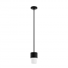  19277 - Hunter Station Natural Black Iron with Frosted Cased White Glass 1 Light Pendant Ceiling Light Fixtu