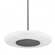  PI1896701L-BLNK - 1 LIGHT PENDANT