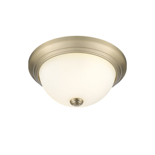  4901-MG - Flushmount Ceiling Light