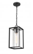  4571-PBK - Outdoor Hanging Lantern