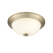  4903-MG - Flushmount Ceiling Light