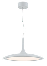  P1781-044B-L - LED PENDANT LIGHT