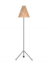  AET1171AIBRTN1 - Medium Floor Lamp