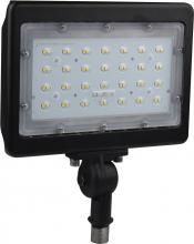  65/539R1 - LED Large Flood Light; 50W; 5000K; Bronze Finish; 100V-277V; Dimmable