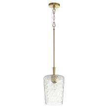  3204-80 - Goodwin 8 inches Pendant |Aged Brass