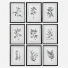  41617 - Uttermost Farmhouse Florals Framed Prints, S/9