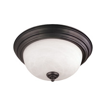  SL869263 - Thomas - Tahoe 14'' Wide 2-Light Flush Mount - Painted Bronze